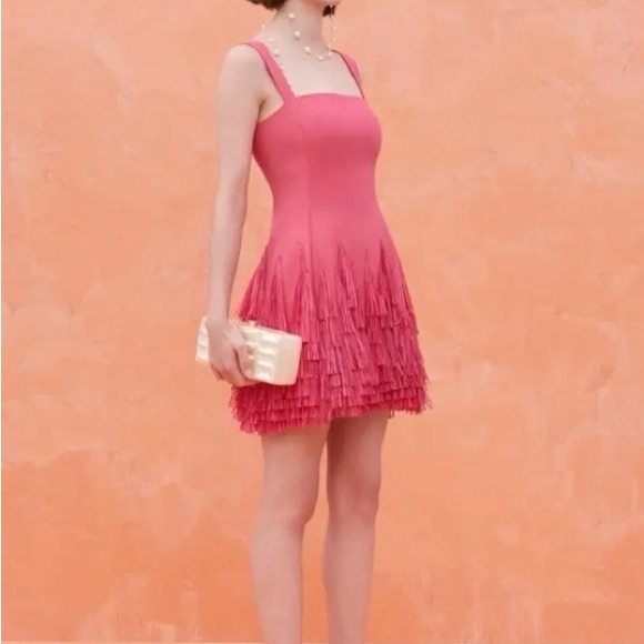 Cult Gaia Pink Fringe Mini Dress - Picture 2 of 2